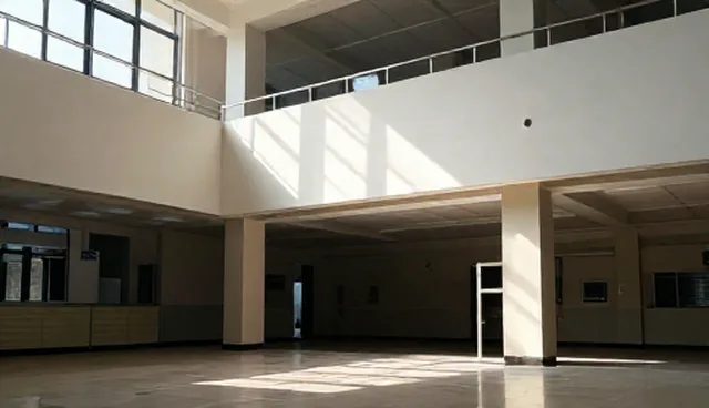 内容营销中网络传播选型与应用建议